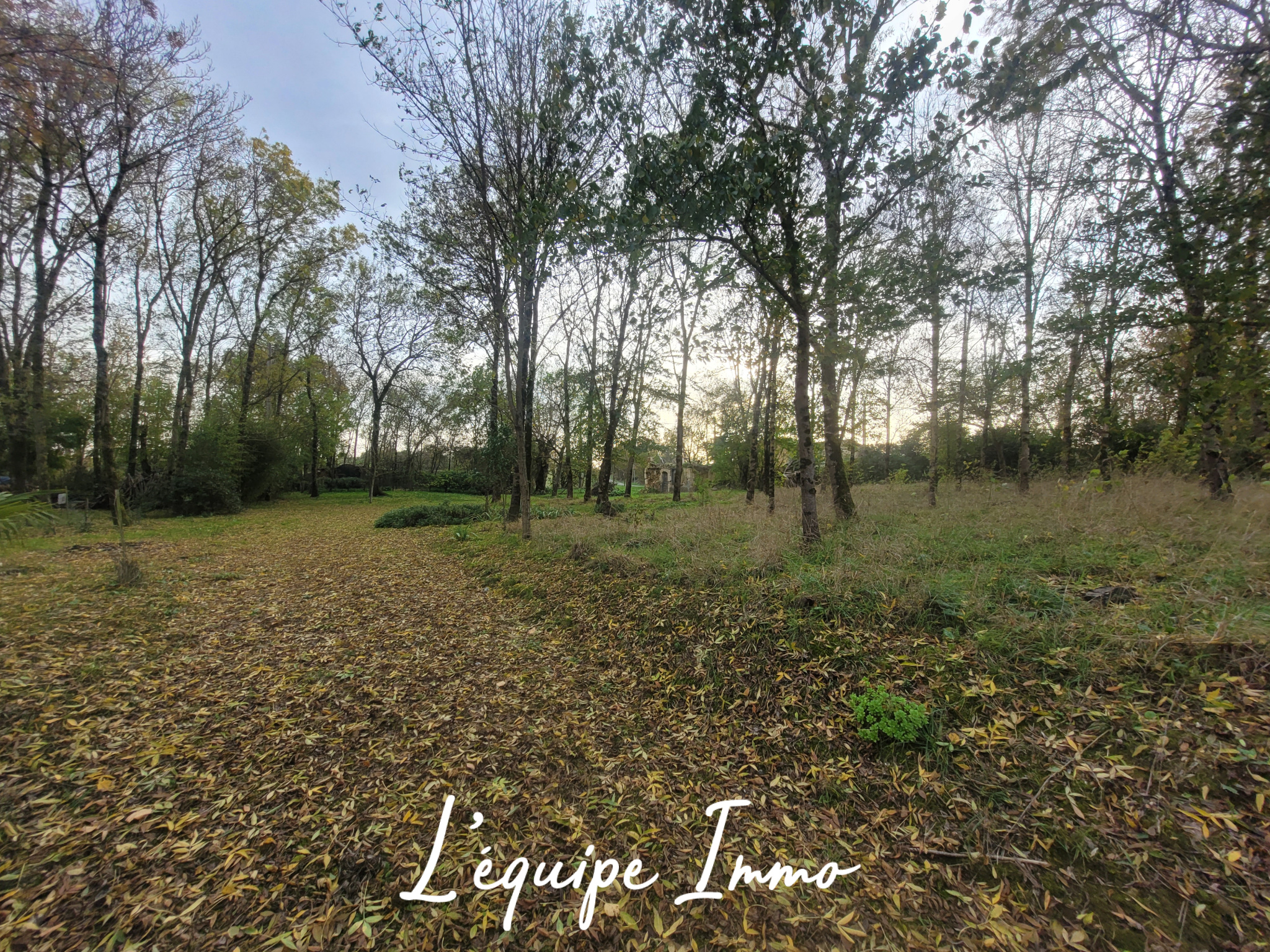 Terrain constructible de 2800 m2 viabilisé